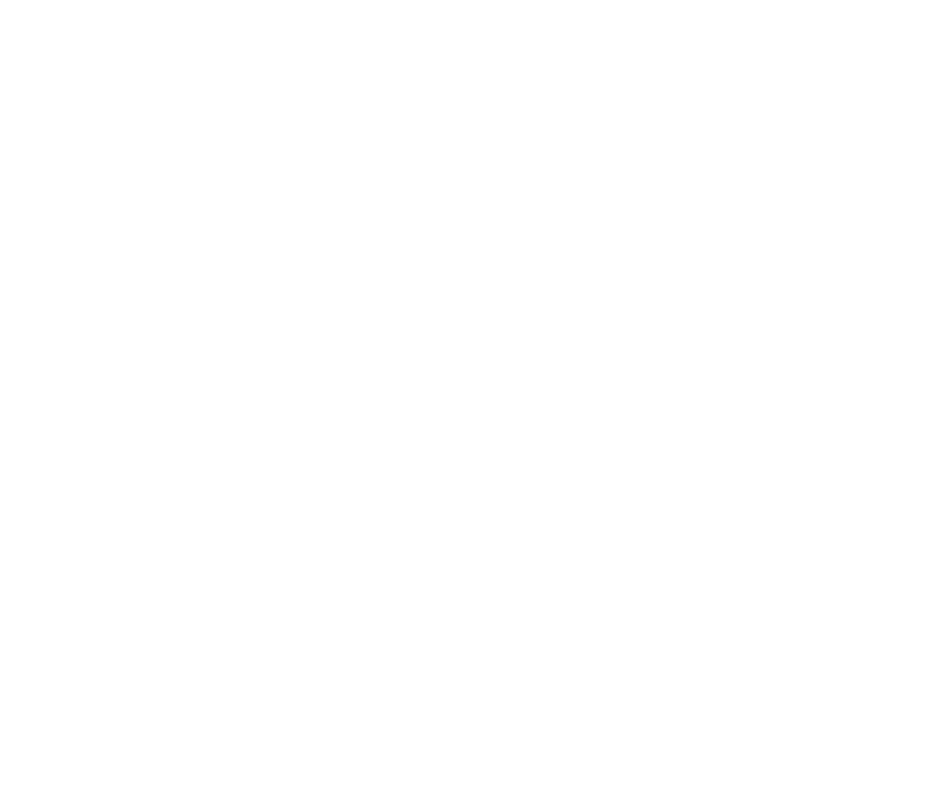 VISION